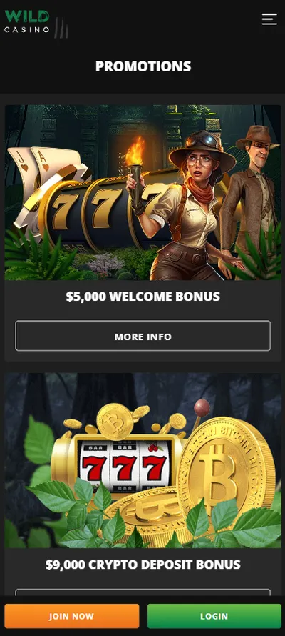 Wild Casino App Bonuses